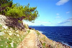 ein tolles Bild von der Insel Losinj in Kroatien