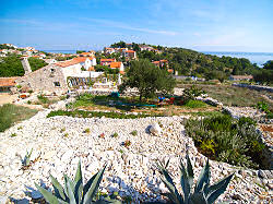 Botanischer Garten Mali Losinj / Kroatien