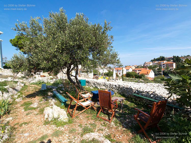 Botanischer Garten Mali Losinj / Kroatien