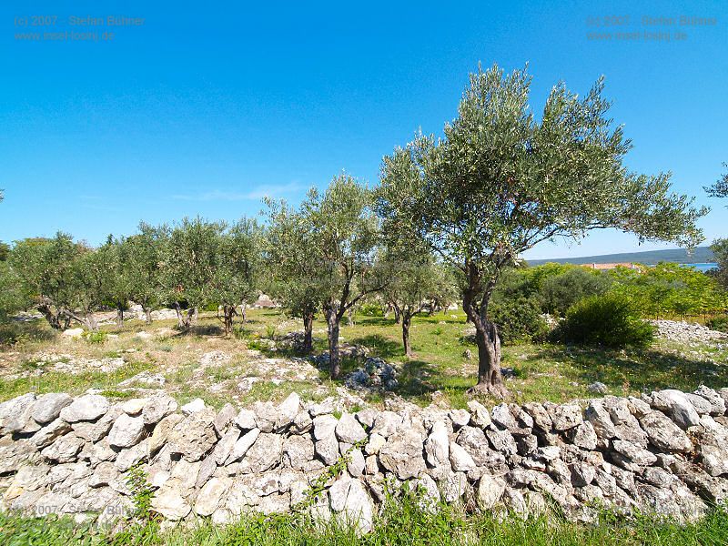 der Gebirgszug des Osorscica bei Nerezine / Osor auf der Insel Losinj