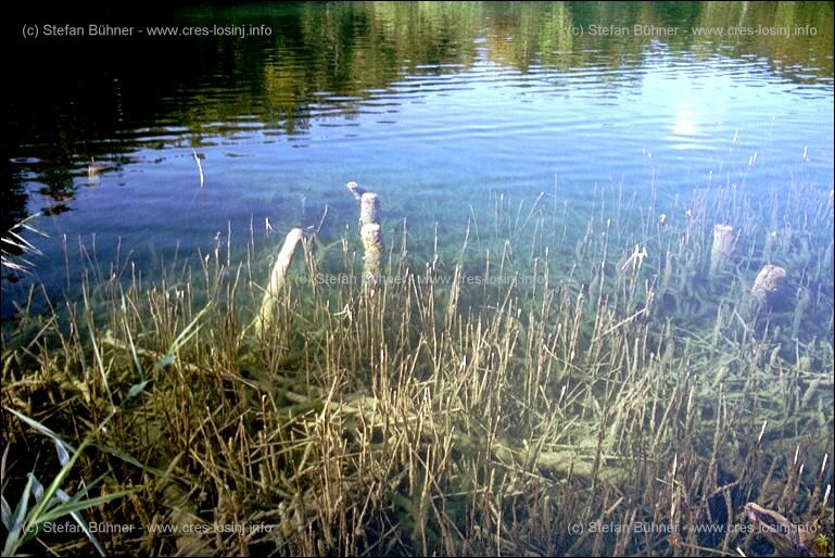 im Nationalpark Plitvice in Kroatien