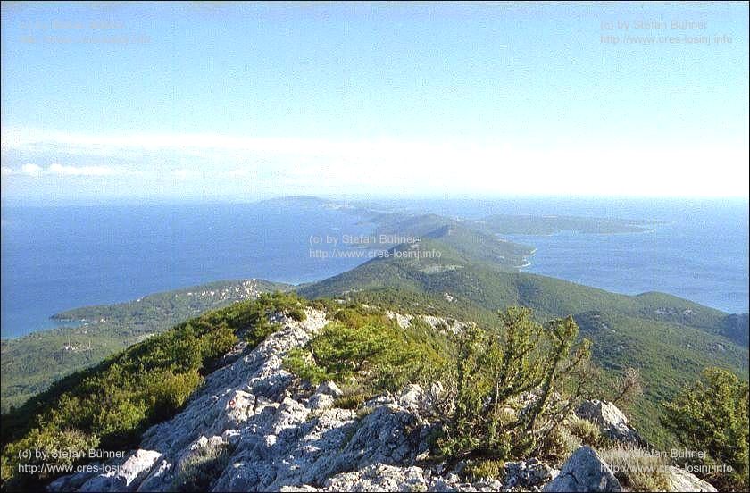 auf dem Osorscica bei Nerezine auf der Insel Losinj