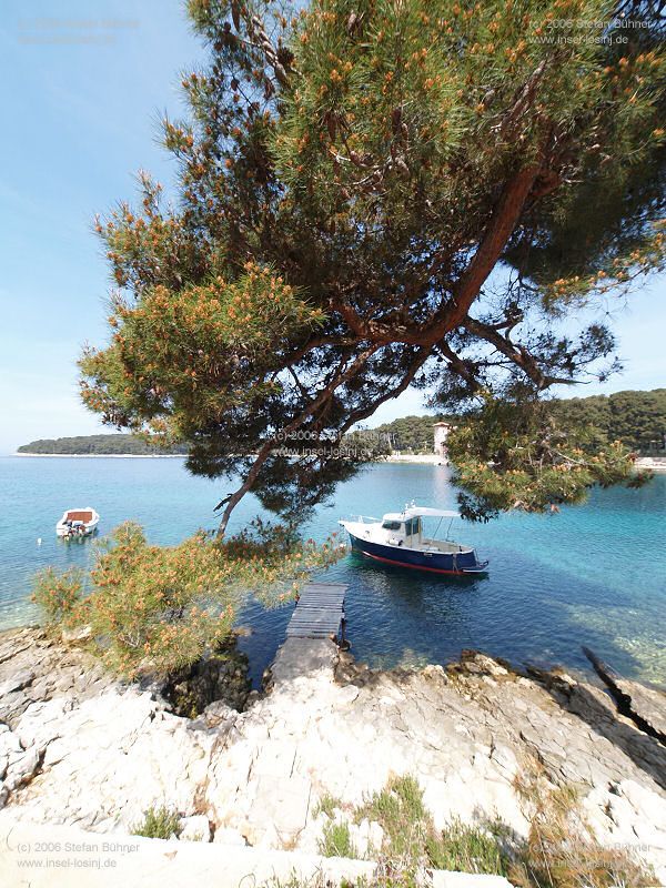 in der Cikat Bucht in Mali Losinj - Kroatien